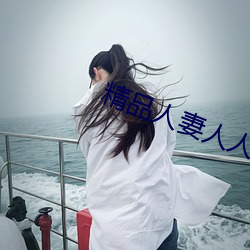 精品(品)人妻人人(人)做(做)人人爽夜夜爽(爽)
