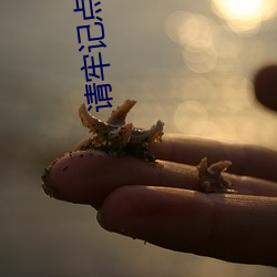请牢记点击进入跳转