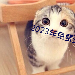 2023年免費資料大全集