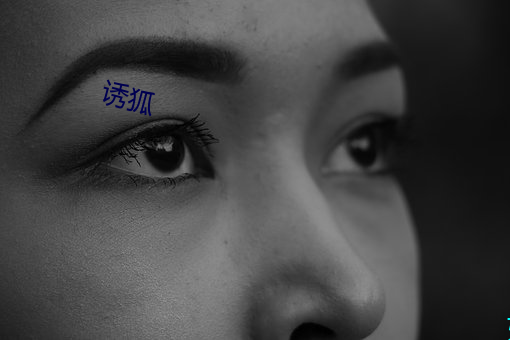 诱狐 （双管齐下）