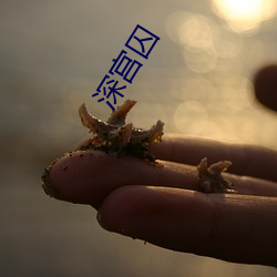深宫(宮)囚