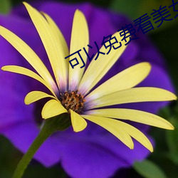 可以免费(費)看(看)美女裸体的(的)软件(件)