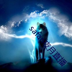 safari夜月直播