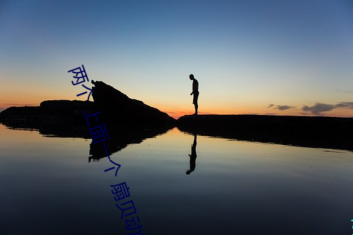 两个 上面一个 扇贝(bèi)动图