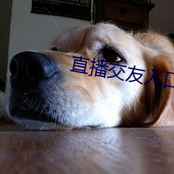 直播(播)交友入口