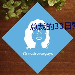 总裁的33日索情