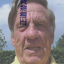 正道潜龙