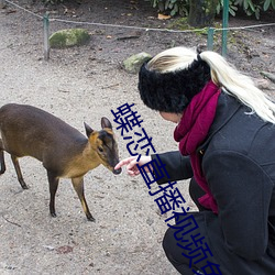 蝶恋直播视频免费