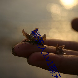聊天人1v1聊天(tiān)室(shì)