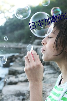 日本加勒比一区