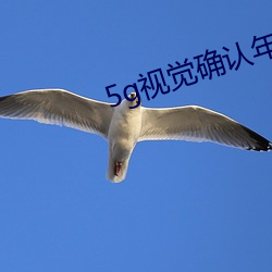 5g视(shì)觉(jué)确认年满十八大象