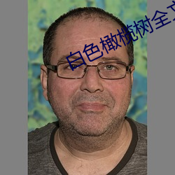 白色橄榄树全文免费阅读