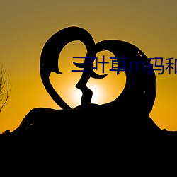 三叶草(cǎo)m码和欧洲码的(de)区别