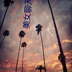 美女聊天網站