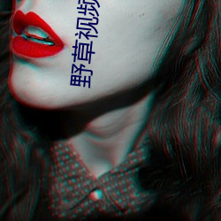 野草视频网址入口直(zhí)接看(kàn)