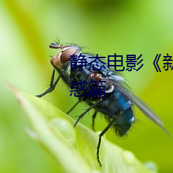 静态电影《新金瓶梅》第一卷:命惑篇