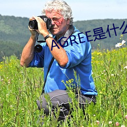 agree是什么意思 （画野分疆）