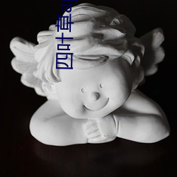 四叶草app成年版入口