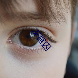 深宫囚