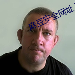 麻豆安全网址入口