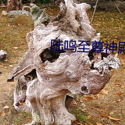 陆鸣至尊神殿最新(新)章(章)节