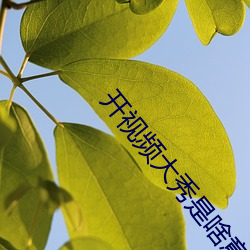 开视频大秀是啥意思