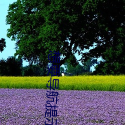 想要导航(航)提示页桃(桃)红世(世)界下载(載)