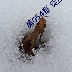 第054章 哭泣人妻