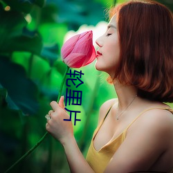 輪裏片