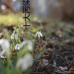 十(shí)大污染行业排行榜