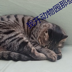 我开动物园那(那)些(些)年