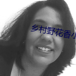 鄉村野花香小說