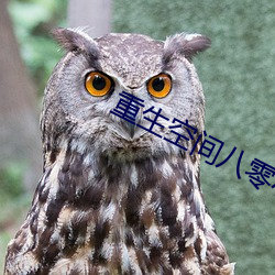 重生空间八零小媳妇
