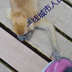 一线城市人口(口)余额不(不)足意味着(著)什么