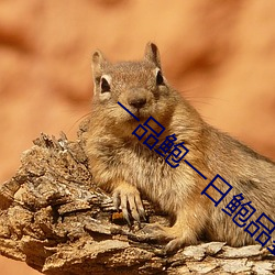 一(一)品(品)鲍一(一)日鲍品鉴(鑒)天下(下)