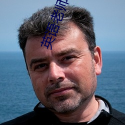 英语(語)老师的(的)小(小)兔子又软又好