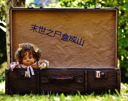 末(末)世之尸盒成山