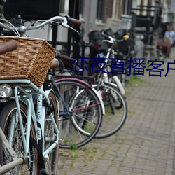 恋夜(yè)直播客户端(duān)