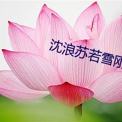 沈浪苏若雪刚刚更新章节