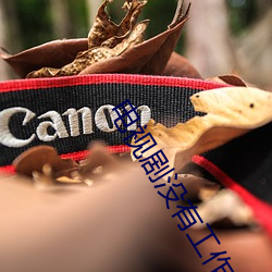 电视剧没有工(工)作的(的)一年(年)在线