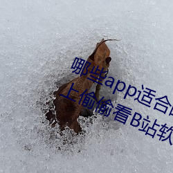 哪些app适合晚上偷偷看b站?适合晚上偷偷看b站软件分享