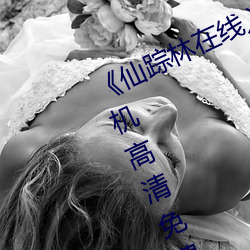 《仙踪林在线入口欢迎您免费进》手机高清免费在线观看