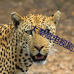 大秦赋电视剧免费(fèi)观看(kàn)全集