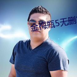 金梅瓶5无删减版在线观看