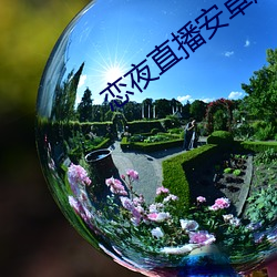 恋夜直播(bō)安(ān)卓版本(běn)