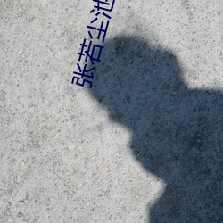张若尘(塵)池(池)瑶小说全文(文)免费(費)阅读(讀)