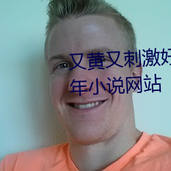 又黄又刺激好看的(的)小说(說) 专门看成年(年)小说网(網)站(站)