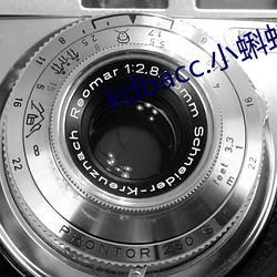 kdbacc.小蝌蚪下载安装