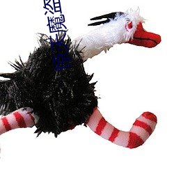 惊(jīng)天魔盗(dào)团(tuán)2在线观看完整