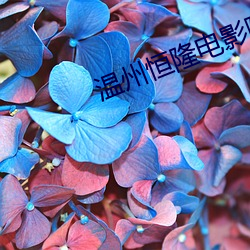 温(溫)州恒(恒)隆电影(影)院